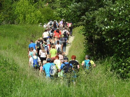 Pomlad v prleških goricah 2017 8